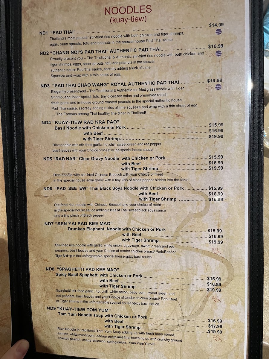 Chang Noi's Authentic Thai Cuisine - 2