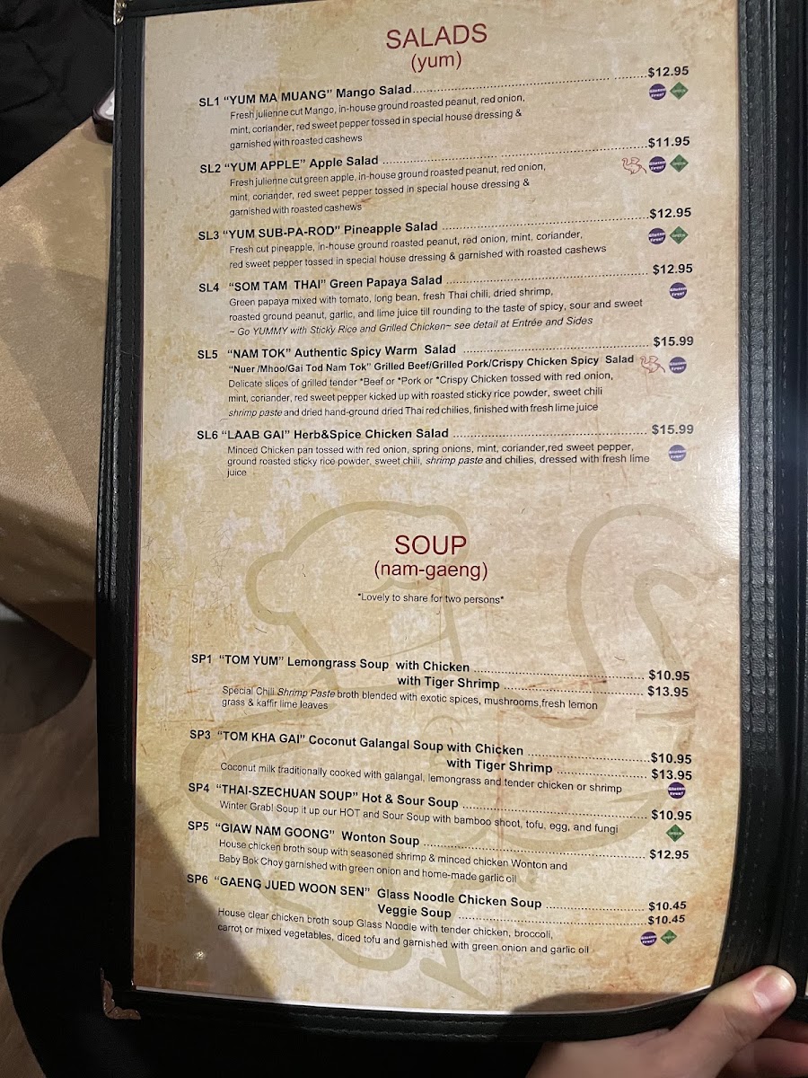 Chang Noi's Authentic Thai Cuisine - 3