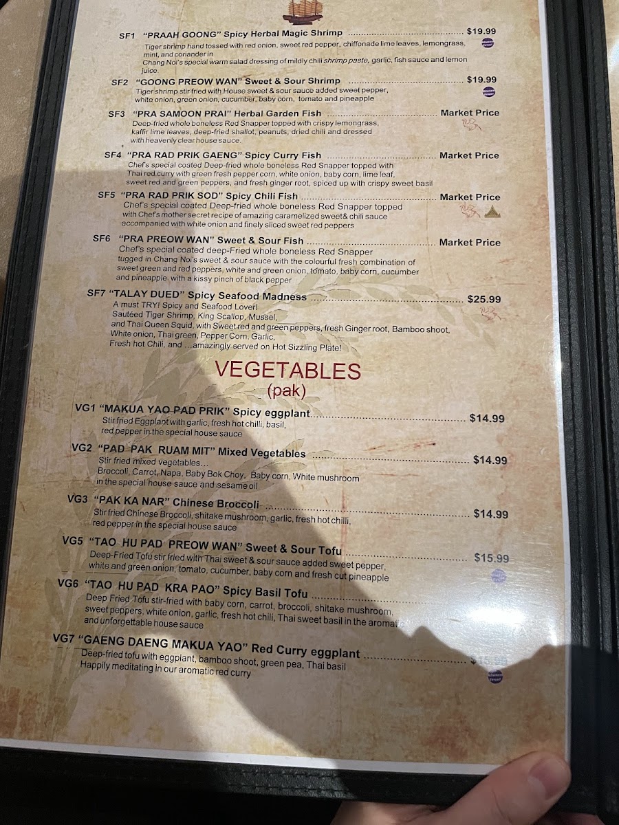 Chang Noi's Authentic Thai Cuisine - 6