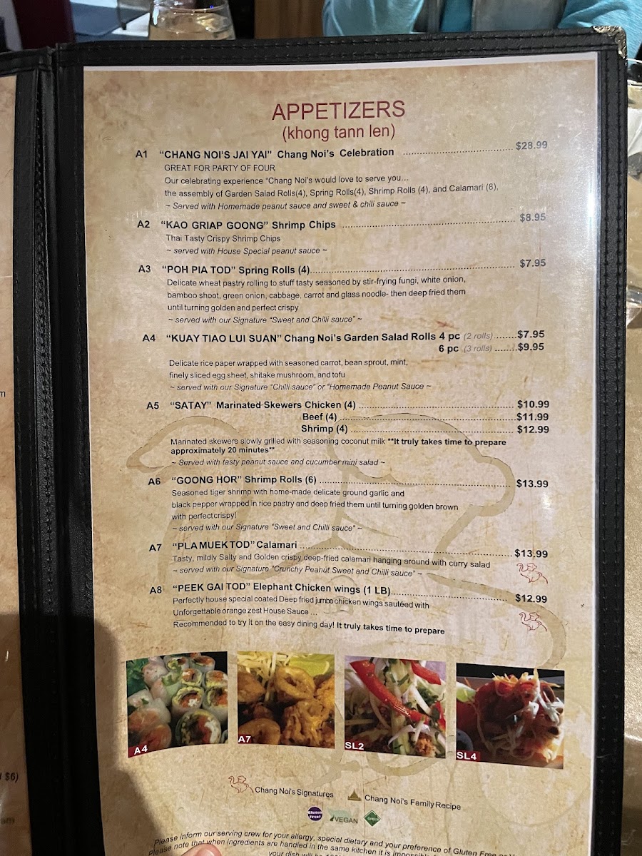 Chang Noi's Authentic Thai Cuisine - 9