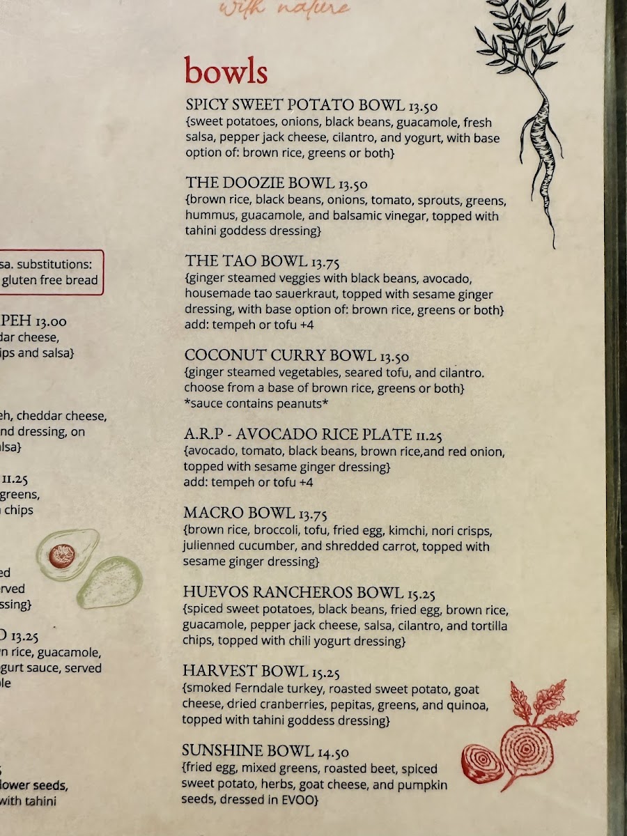 Tao Organic Cafe + Herbery - 7