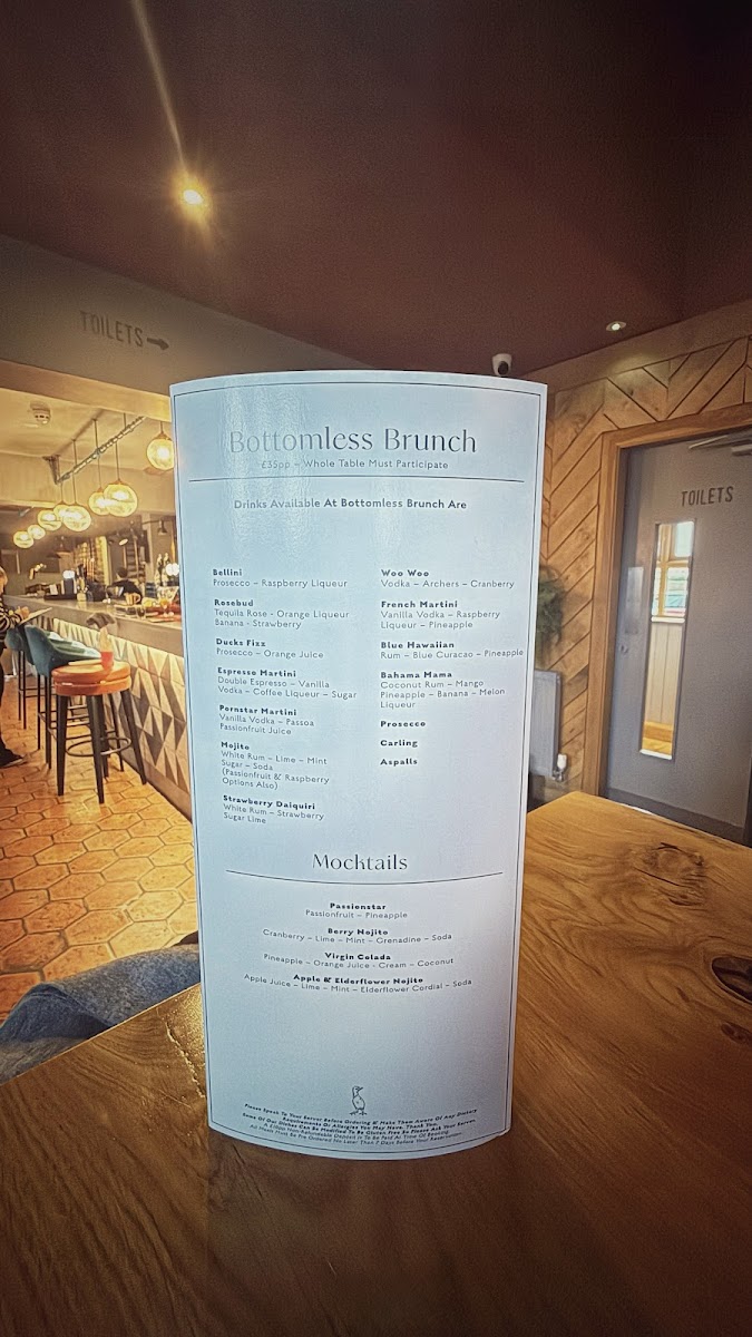 The Ugly Duckling - 1