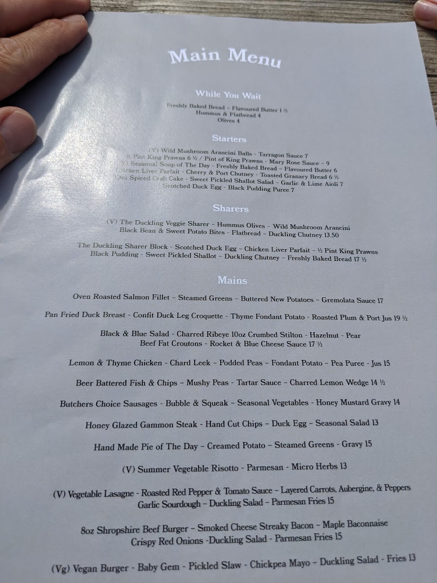 The Ugly Duckling - 6