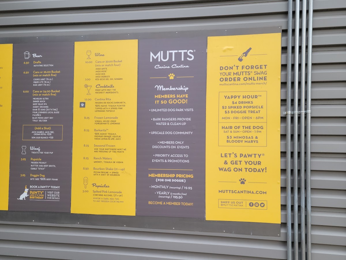 MUTTS Canine Cantina® - Dallas - 6