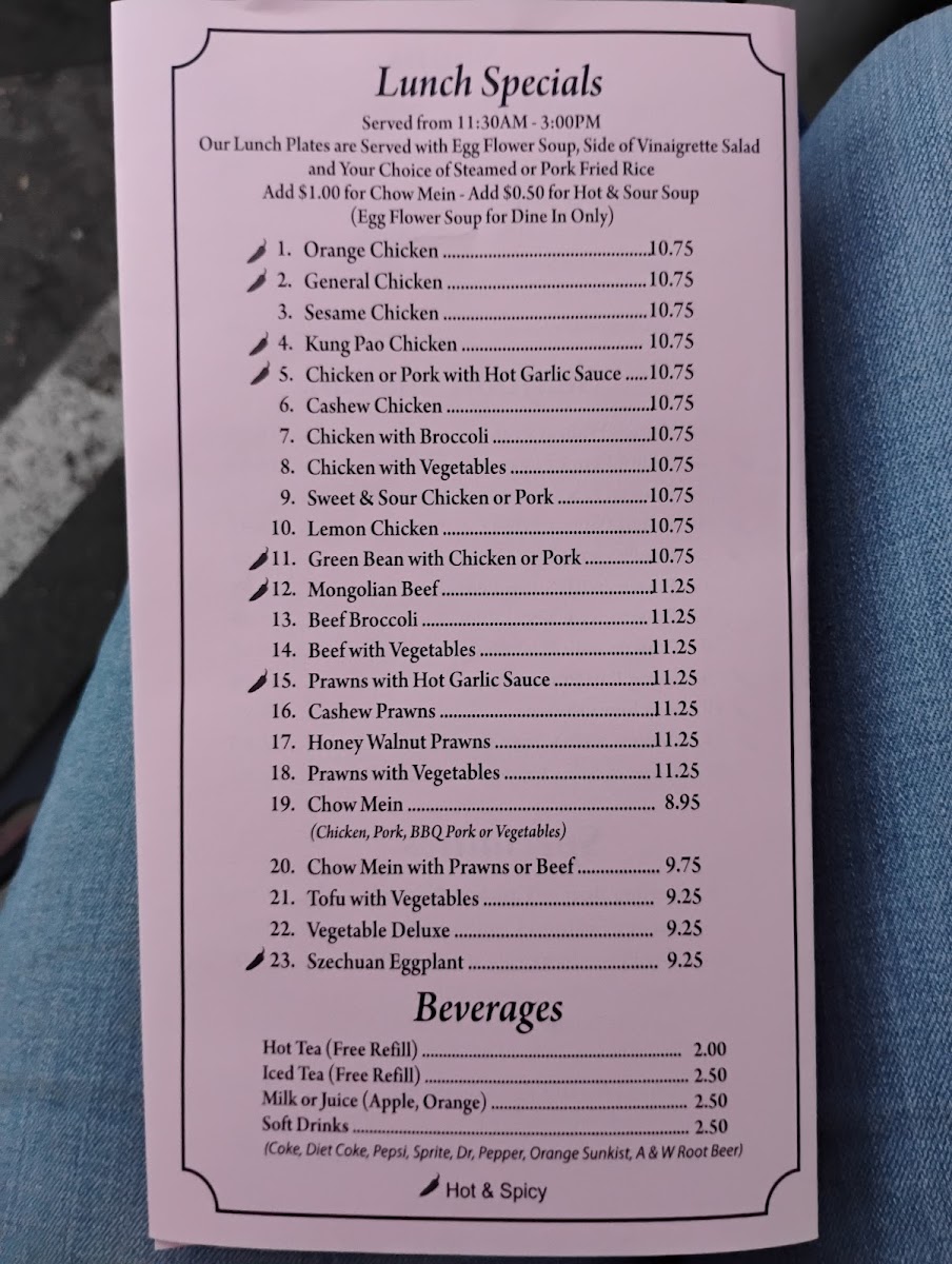 Wonderful Chinese Restaurant - 6