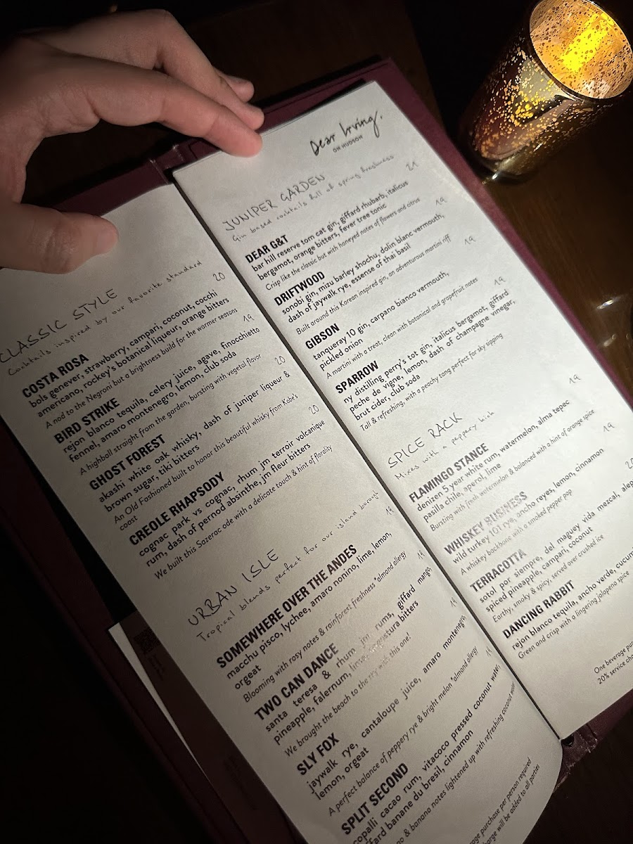 Dear Irving on Hudson Rooftop Bar - 7