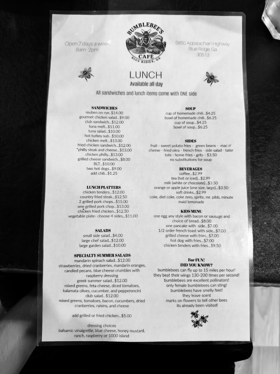 BumbleBee's Cafe Blue Ridge - 3