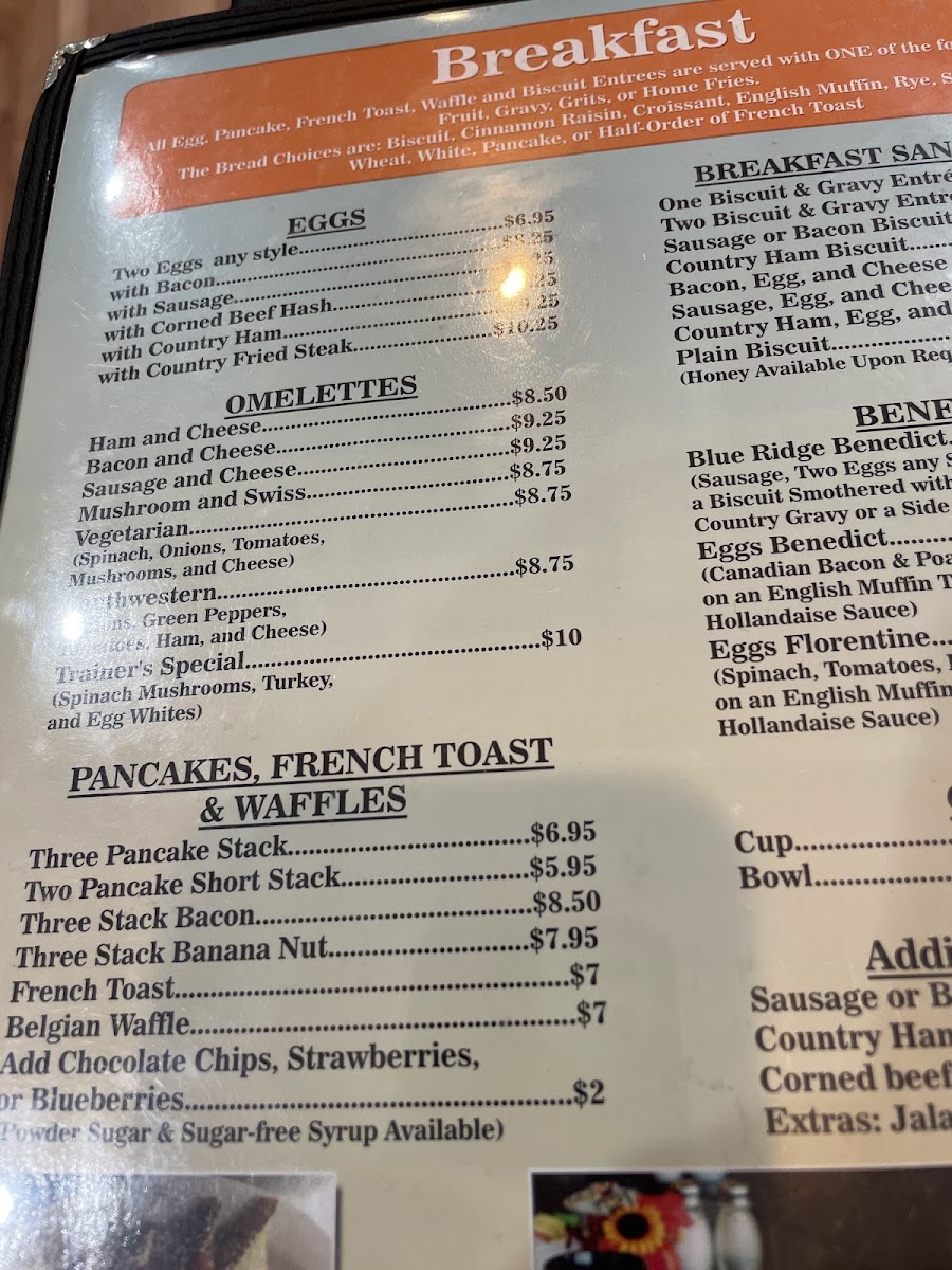 BumbleBee's Cafe Blue Ridge - 8