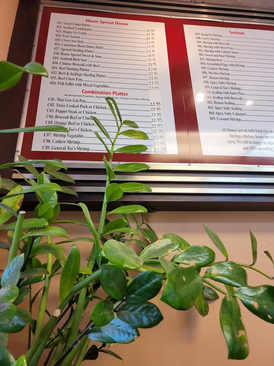 Great China Restaurant - 8