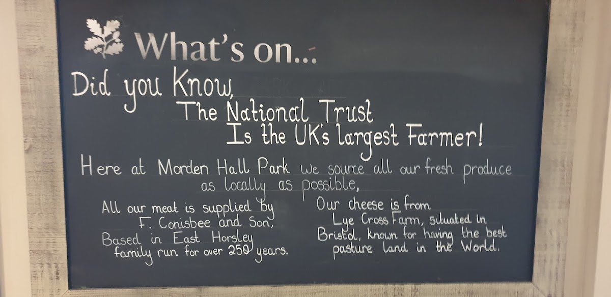 Potting Shed Cafe - 4