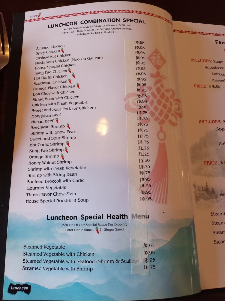 New Mandarin Garden - 5