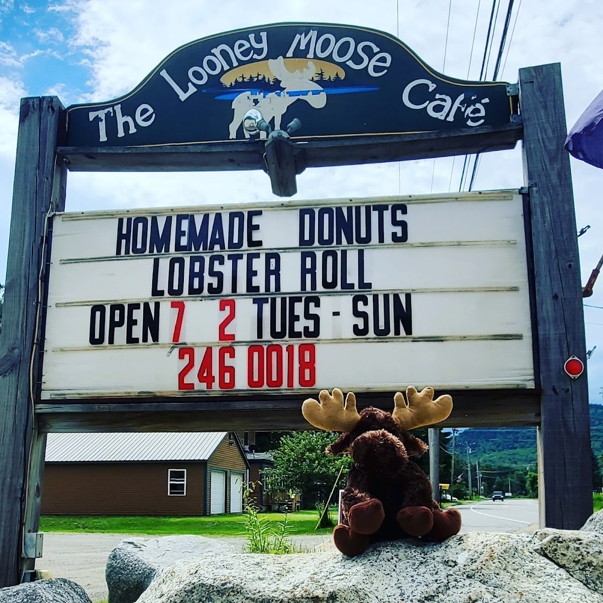 Looney Moose Cafe