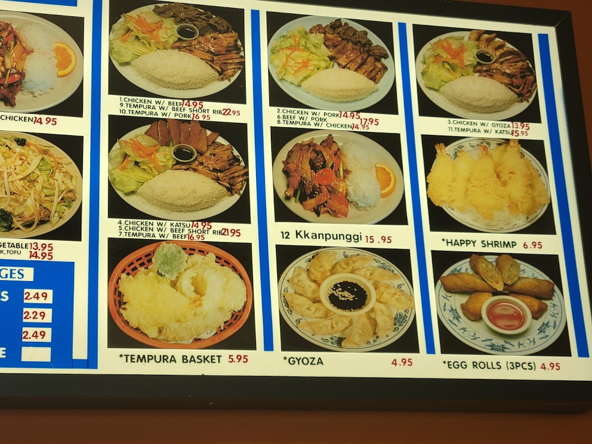 Teriyaki Delight - 3