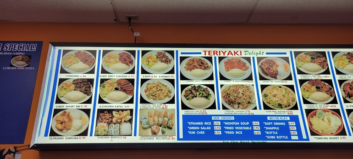 Teriyaki Delight - 6