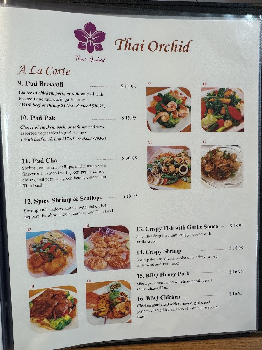 Thai Orchid Restaurant - 1