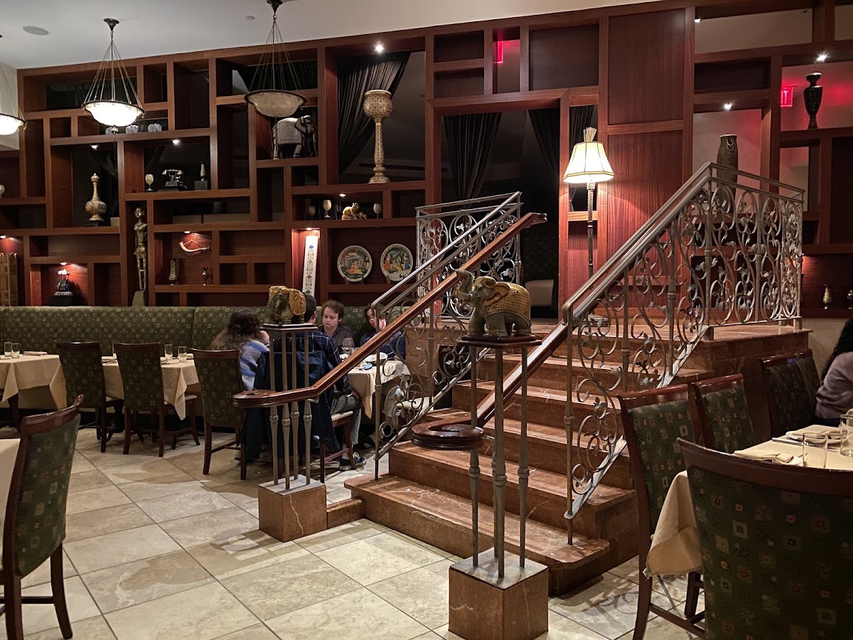 Mehndi: The Art of Indian Fine Dining