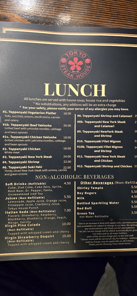 Tokyo Japanese Steak House - 10