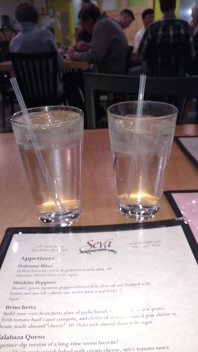 Seva Ann Arbor - 2