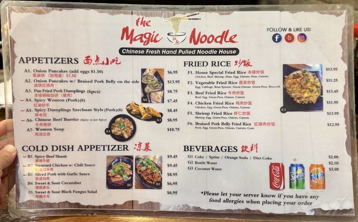 The Magic Noodle - 2