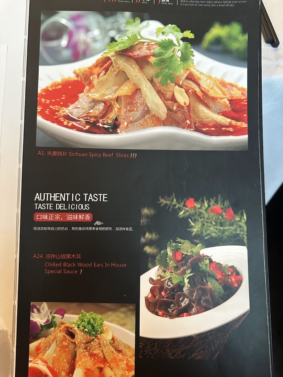 Sichuan Gourmet House - 6