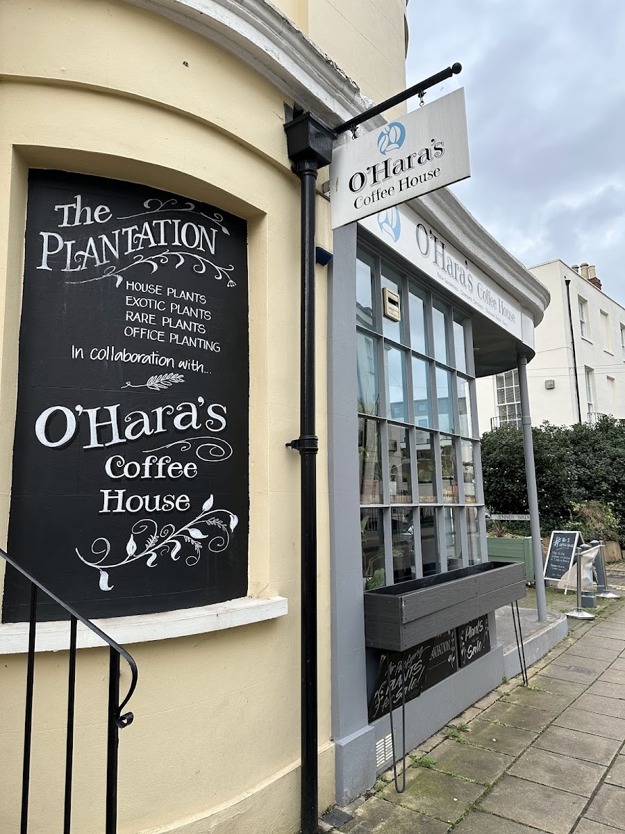 O'Hara's Coffee House - 8