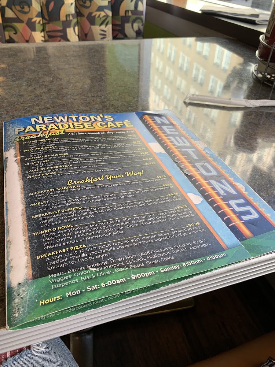 Newton's Paradise Cafe - 7