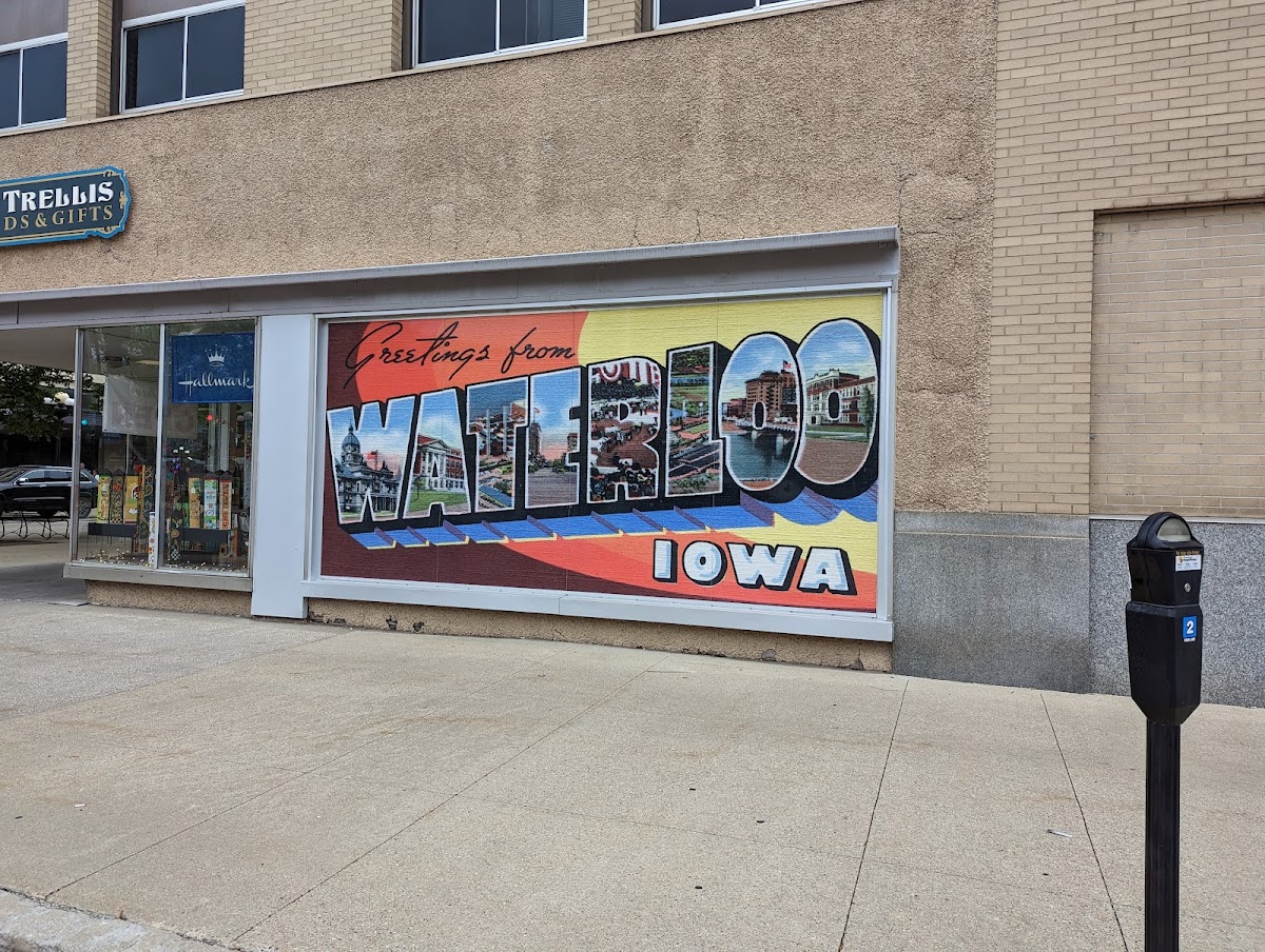 Newton's Paradise Cafe