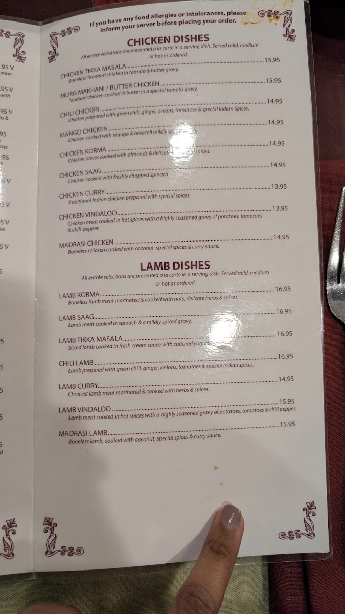 Delhi Palace Cuisine of India - 6