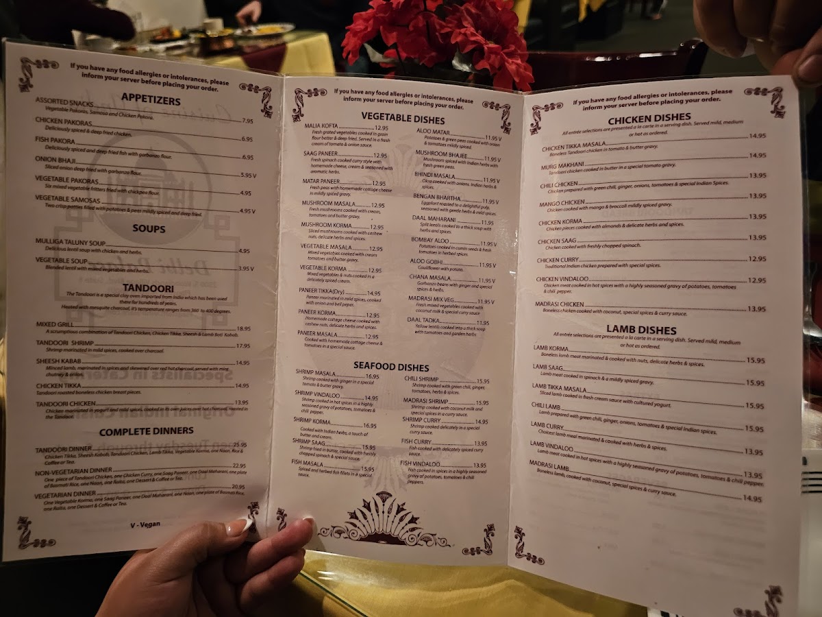 Delhi Palace Cuisine of India - 7