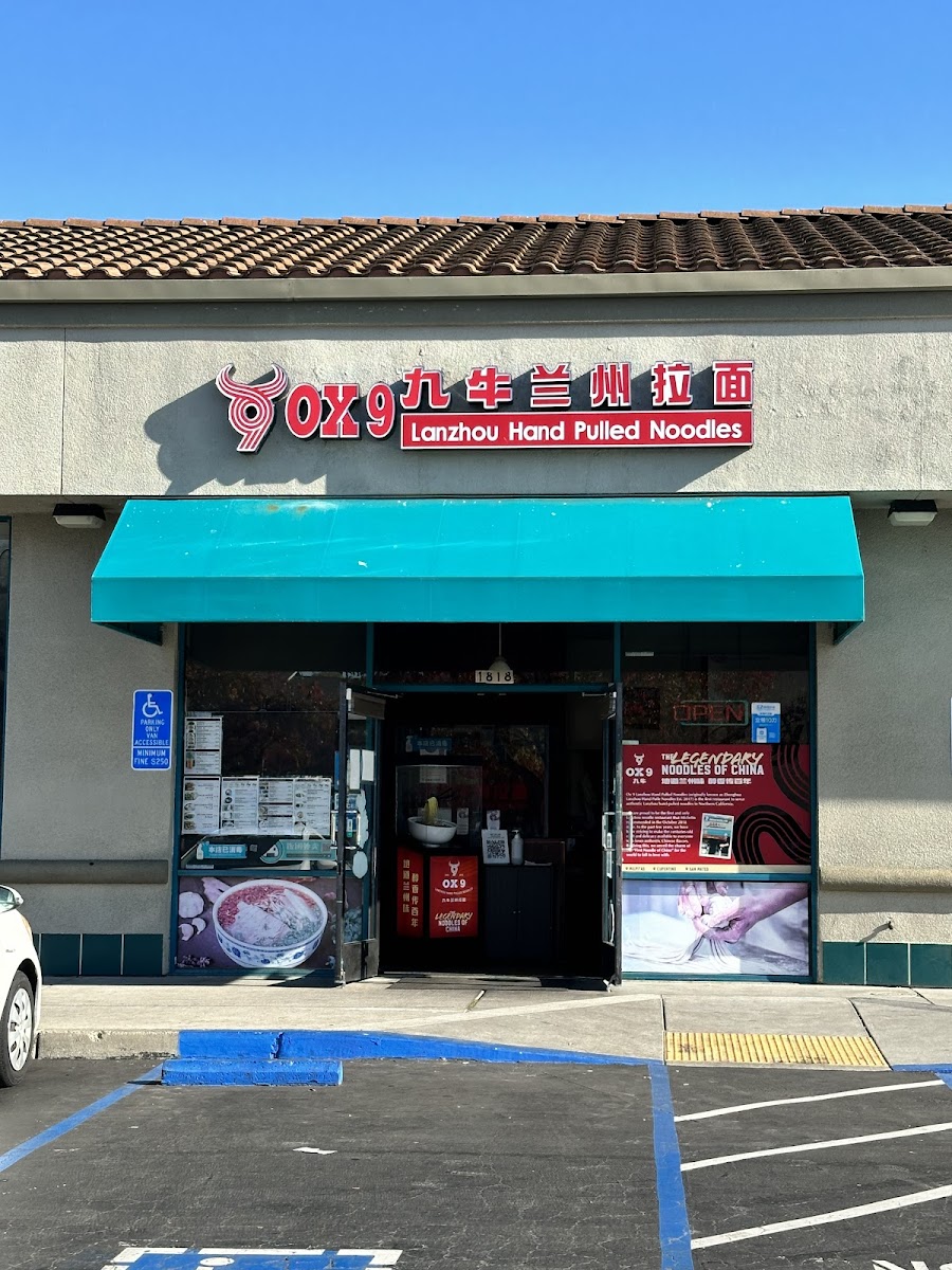 Ox 9 Lanzhou Hand Pulled Noodles