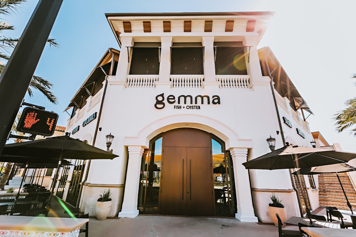Gemma Fish + Oyster