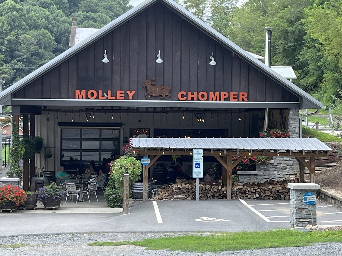 Molley Chomper Hard Cider