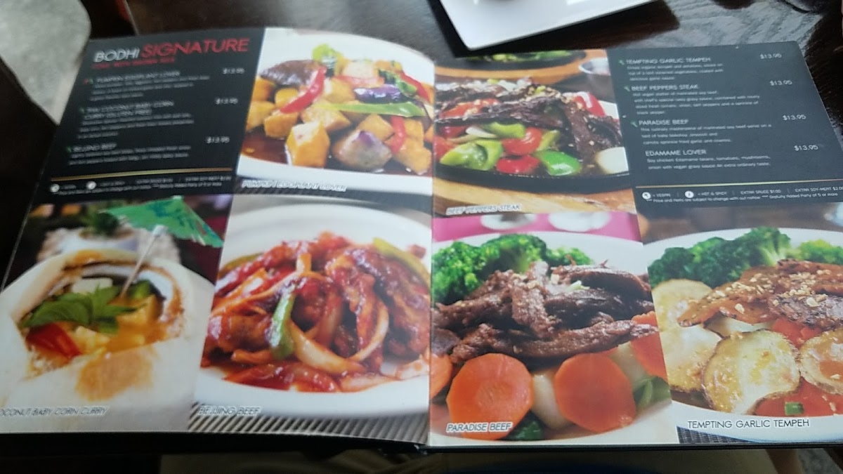 Bodhi Kosher Thai - 4